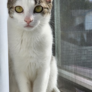 Fundraising Page: Emmalee Pazur